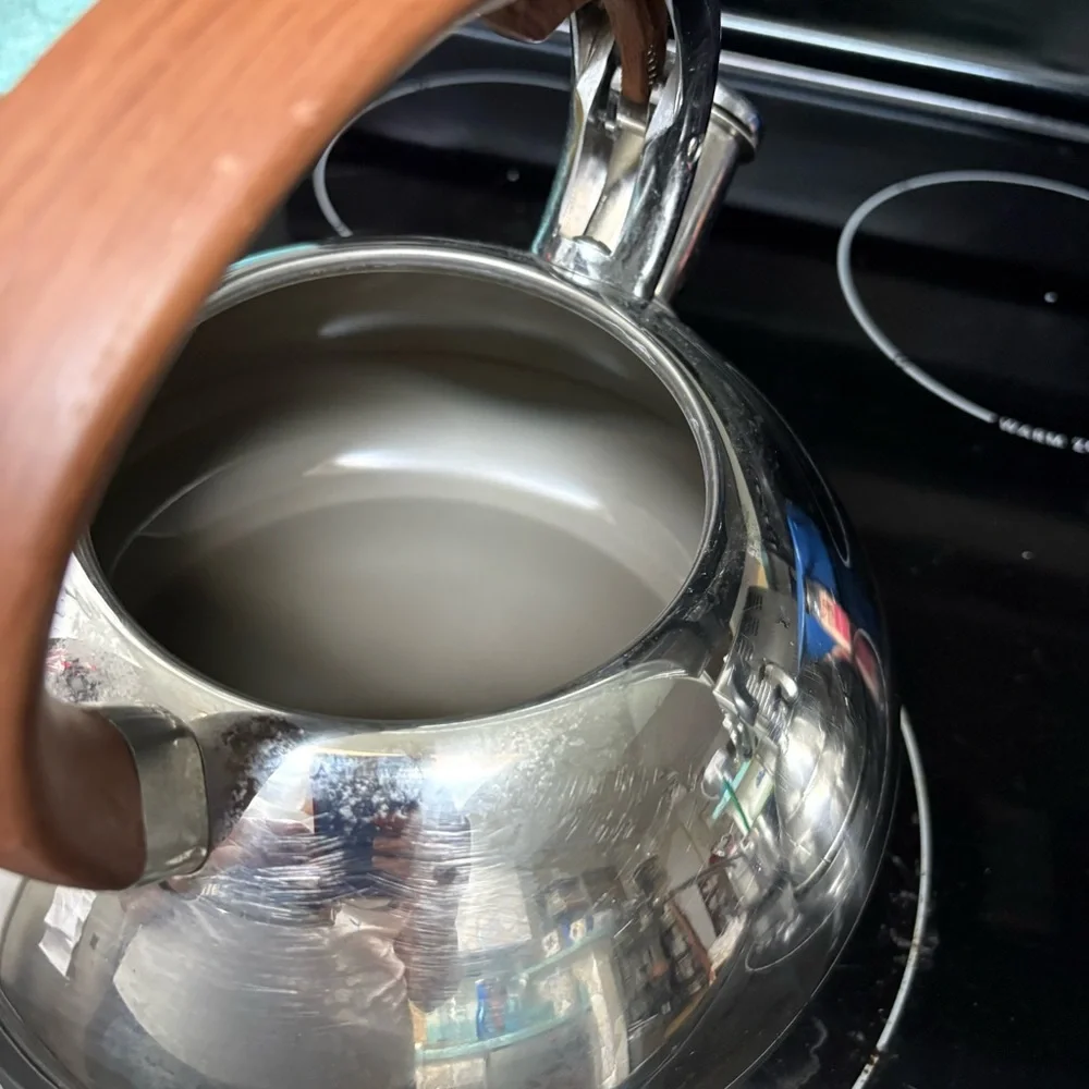 Brandani stovetop kettle